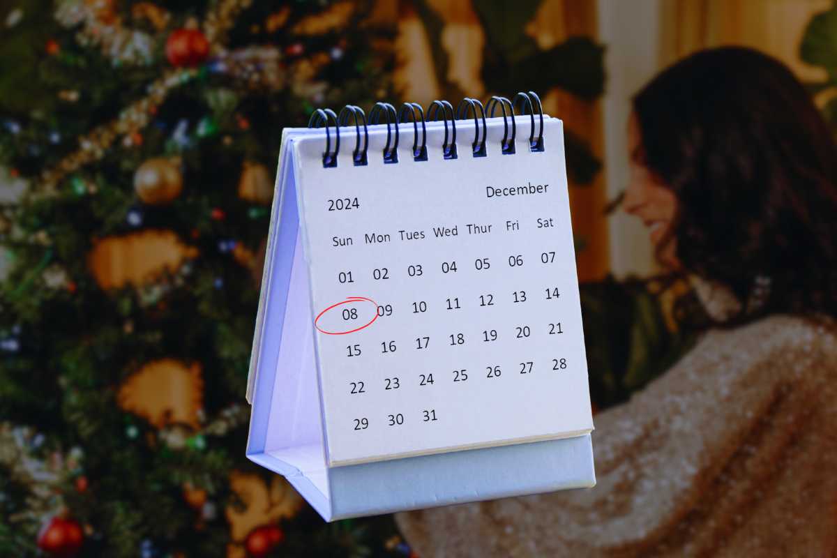 albero e calendario